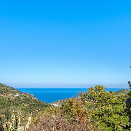 Villa Levanda Panormos  Esterno foto
